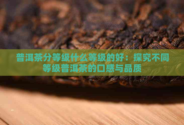 普洱茶分等级什么等级的好：探究不同等级普洱茶的口感与品质