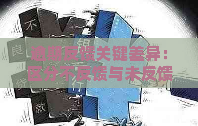 逾期反馈关键差异：区分不反馈与未反馈的重要性