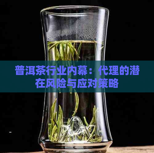 普洱茶行业内幕：代理的潜在风险与应对策略