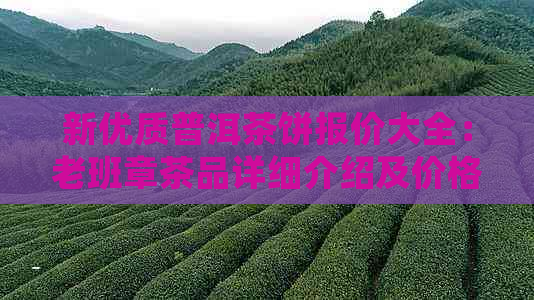 新优质普洱茶饼报价大全：老班章茶品详细介绍及价格分析