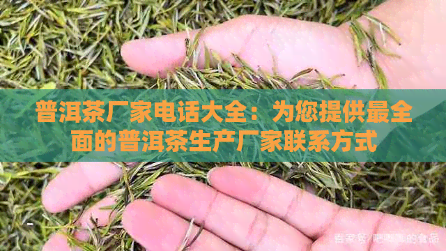 普洱茶厂家电话大全：为您提供最全面的普洱茶生产厂家联系方式