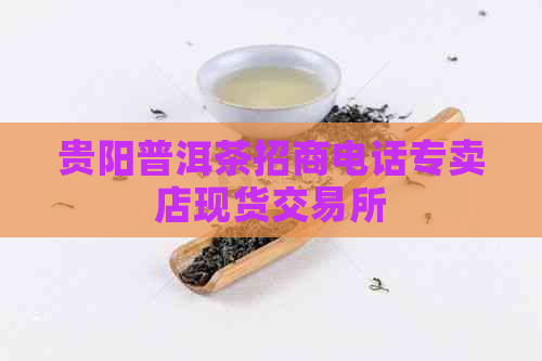 贵阳普洱茶招商电话专卖店现货交易所