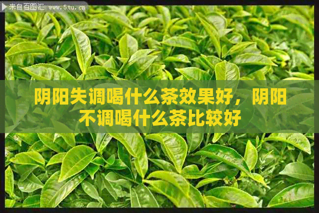 阴阳失调喝什么茶效果好，阴阳不调喝什么茶比较好