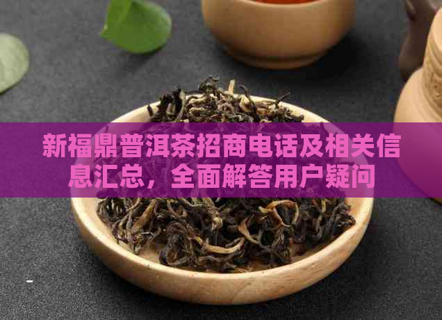 新福鼎普洱茶招商电话及相关信息汇总，全面解答用户疑问