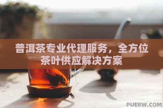 普洱茶专业代理服务，全方位茶叶供应解决方案