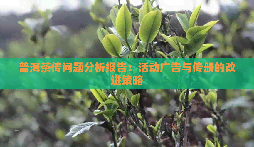 普洱茶传问题分析报告：活动广告与传册的改进策略