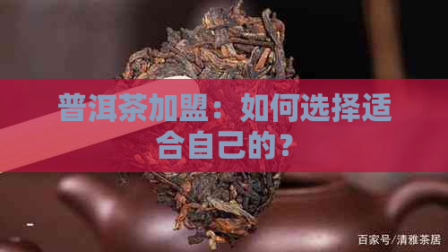 普洱茶加盟：如何选择适合自己的？