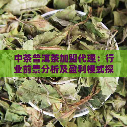 中茶普洱茶加盟代理：行业前景分析及盈利模式探讨