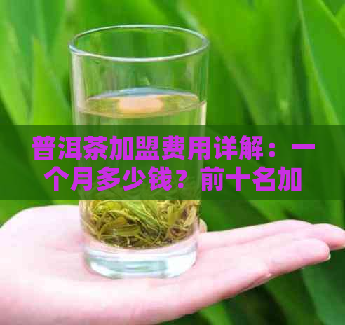 普洱茶加盟费用详解：一个月多少钱？前十名加盟店条件如何？