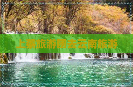 上蔡旅游团去云南旅游