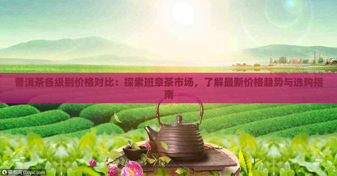 普洱茶各级别价格对比：探索班章茶市场，了解最新价格趋势与选购指南