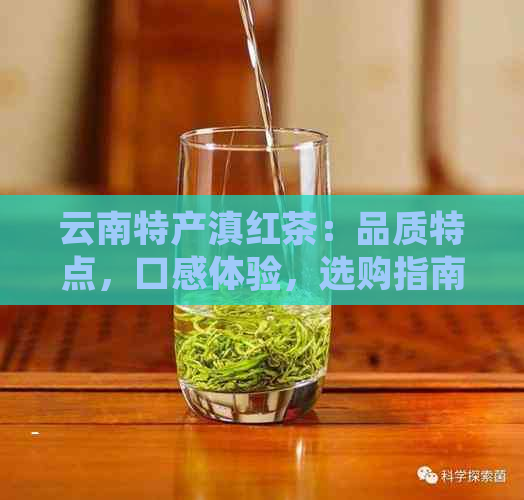 云南特产滇红茶：品质特点，口感体验，选购指南与品鉴技巧