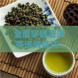 全面掌握普洱茶选购技巧：如何从茶底特征判断品质与年代？