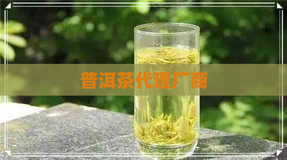 普洱茶代理厂商