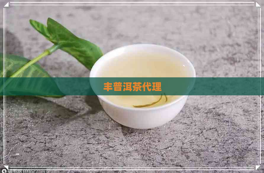 丰普洱茶代理