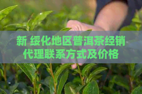 新 绥化地区普洱茶经销代理联系方式及价格