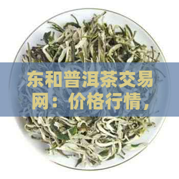 东和普洱茶交易网：价格行情，新闻资讯