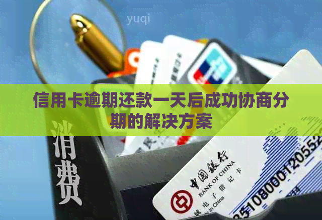 信用卡逾期还款一天后成功协商分期的解决方案