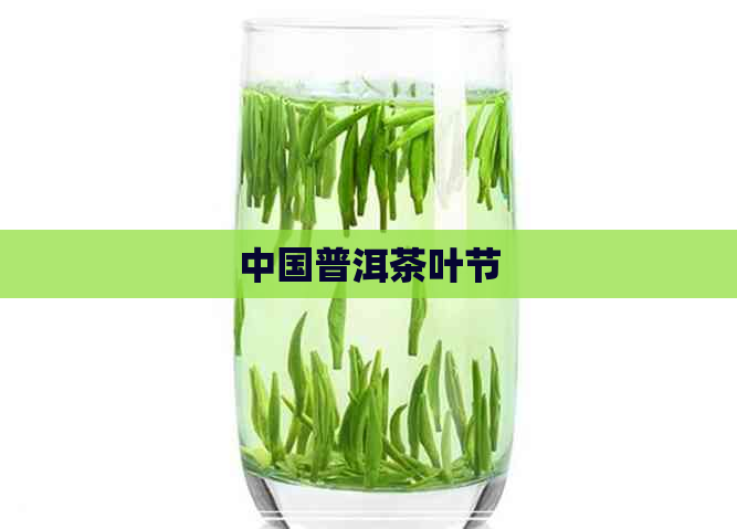 中国普洱茶叶节