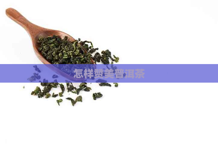 怎样赞美普洱茶