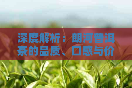 深度解析：朗河普洱茶的品质、口感与价格