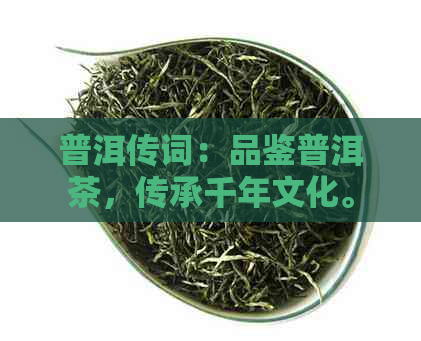 普洱传词：品鉴普洱茶，传承千年文化。