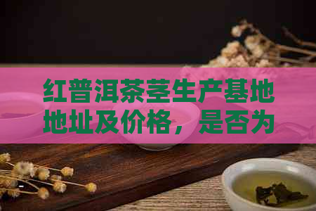 红普洱茶茎生产基地地址及价格，是否为普洱茶？