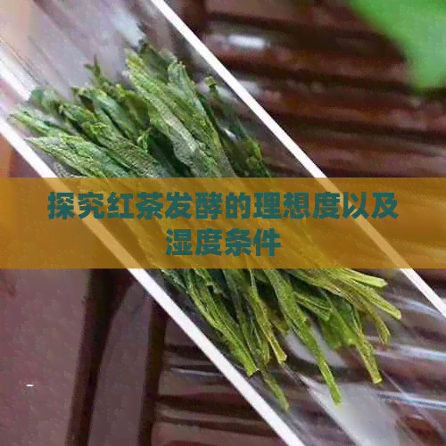 探究红茶发酵的理想度以及湿度条件