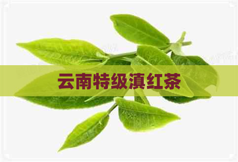 云南特级滇红茶