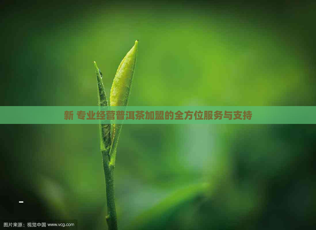 新 专业经营普洱茶加盟的全方位服务与支持