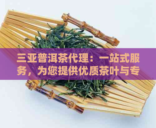 三亚普洱茶代理：一站式服务，为您提供优质茶叶与专业代理支持