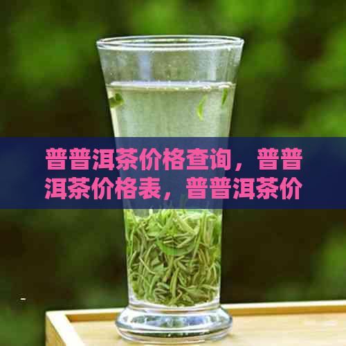 普普洱茶价格查询，普普洱茶价格表，普普洱茶价格一览