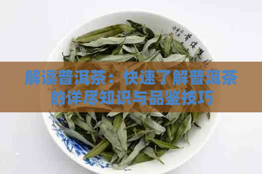 解读普洱茶：快速了解普洱茶的详尽知识与品鉴技巧