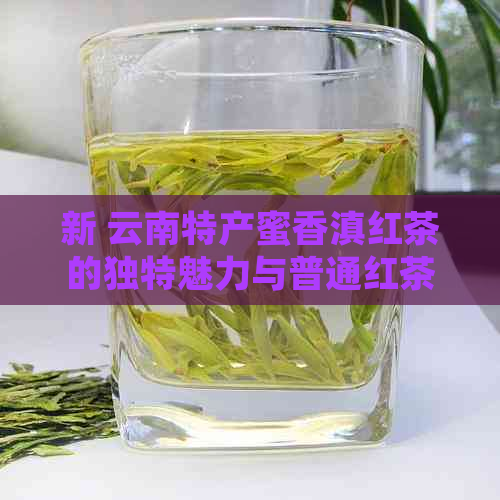 新 云南特产蜜香滇红茶的独特魅力与普通红茶的区别解析