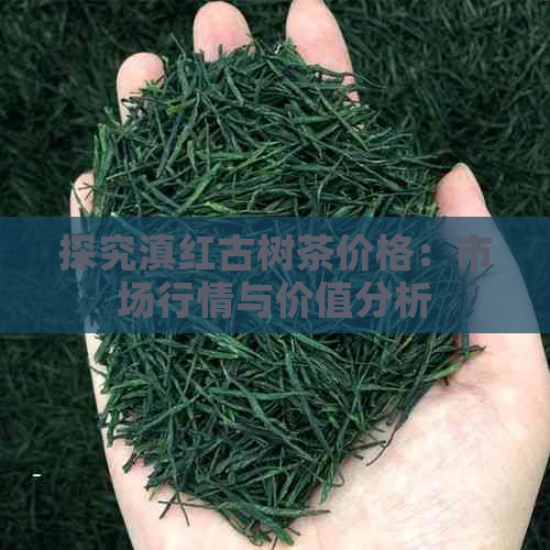 探究滇红古树茶价格：市场行情与价值分析