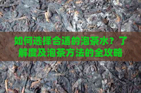 如何选择合适的泡茶水？了解度及泡茶方法的全攻略