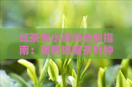 红茶泡水度的全面指南：如何根据茶叶种类和个人口味找到冲泡方法