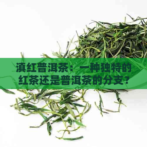 滇红普洱茶：一种独特的红茶还是普洱茶的分支？