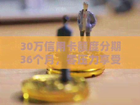 30万信用卡额度分期36个月，零压力享受便捷贷款体验