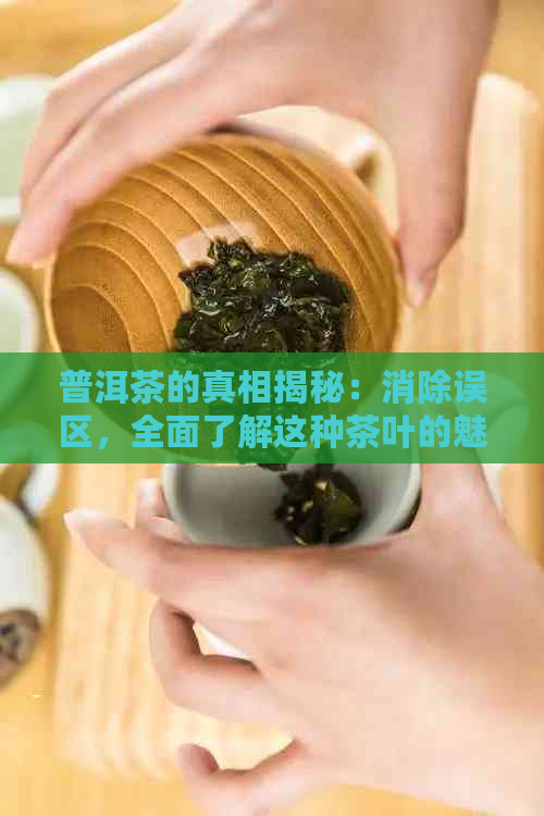 普洱茶的真相揭秘：消除误区，全面了解这种茶叶的魅力与功效