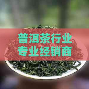 普洱茶行业专业经销商：优质茶叶供应商与定制化服务解决方案