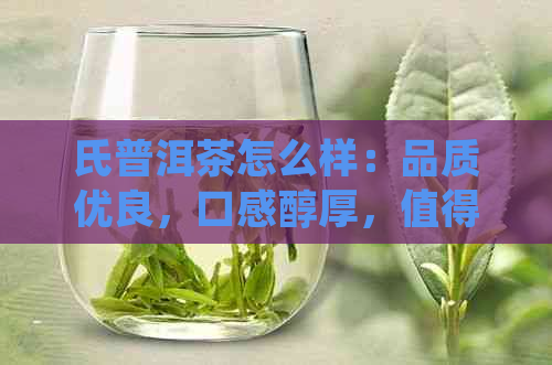 氏普洱茶怎么样：品质优良，口感醇厚，值得一试！