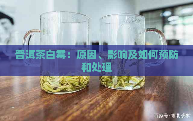 普洱茶白霉：原因、影响及如何预防和处理