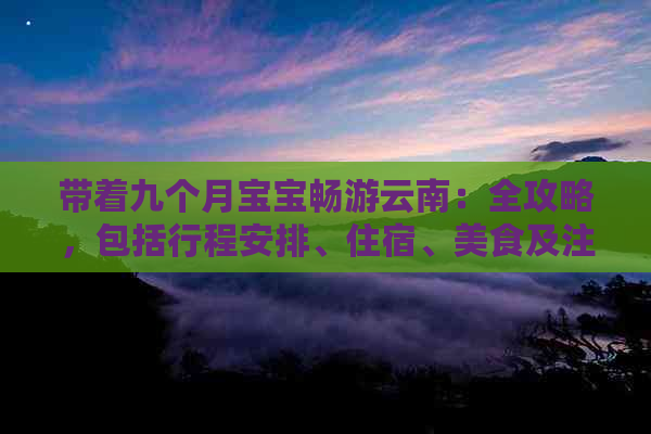 带着九个月宝宝畅游云南：全攻略，包括行程安排、住宿、美食及注意事项