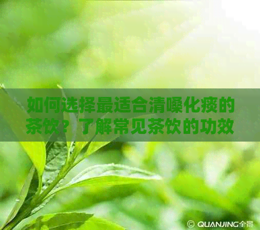 如何选择最适合清嗓化痰的茶饮？了解常见茶饮的功效与适用症状