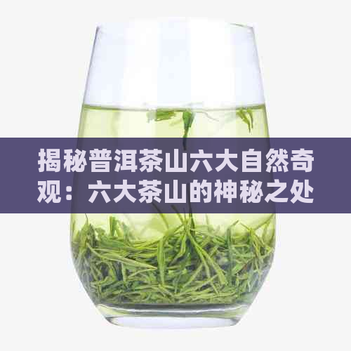 揭秘普洱茶山六大自然奇观：六大茶山的神秘之处