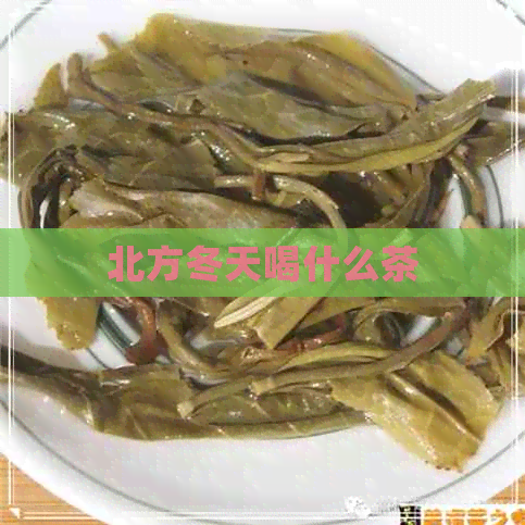 北方冬天喝什么茶