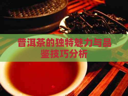 普洱茶的独特魅力与品鉴技巧分析