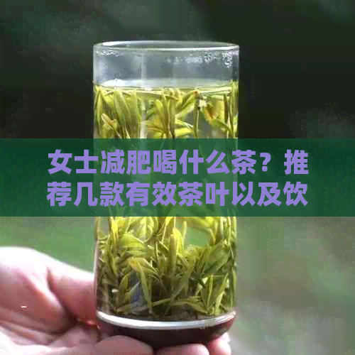 女士减肥喝什么茶？推荐几款有效茶叶以及饮用注意事项，帮助您快速瘦身