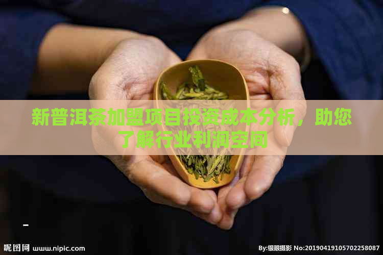 新普洱茶加盟项目投资成本分析，助您了解行业利润空间